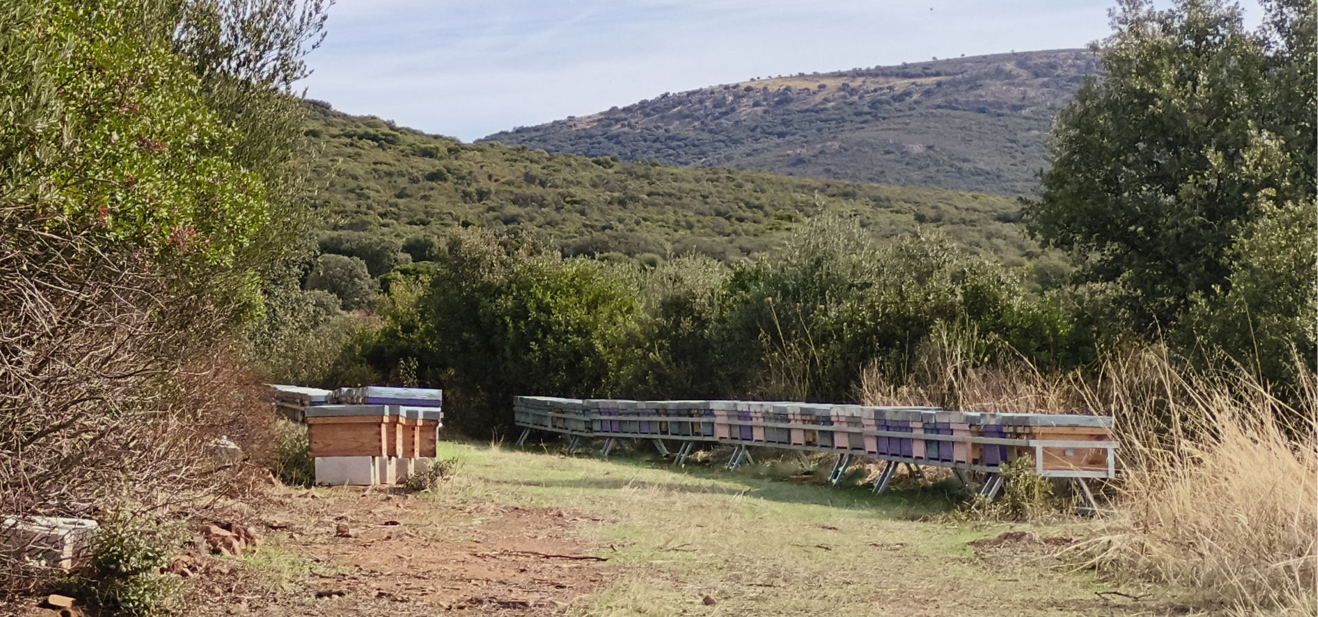 slider image 1621243260e1af0c20-1