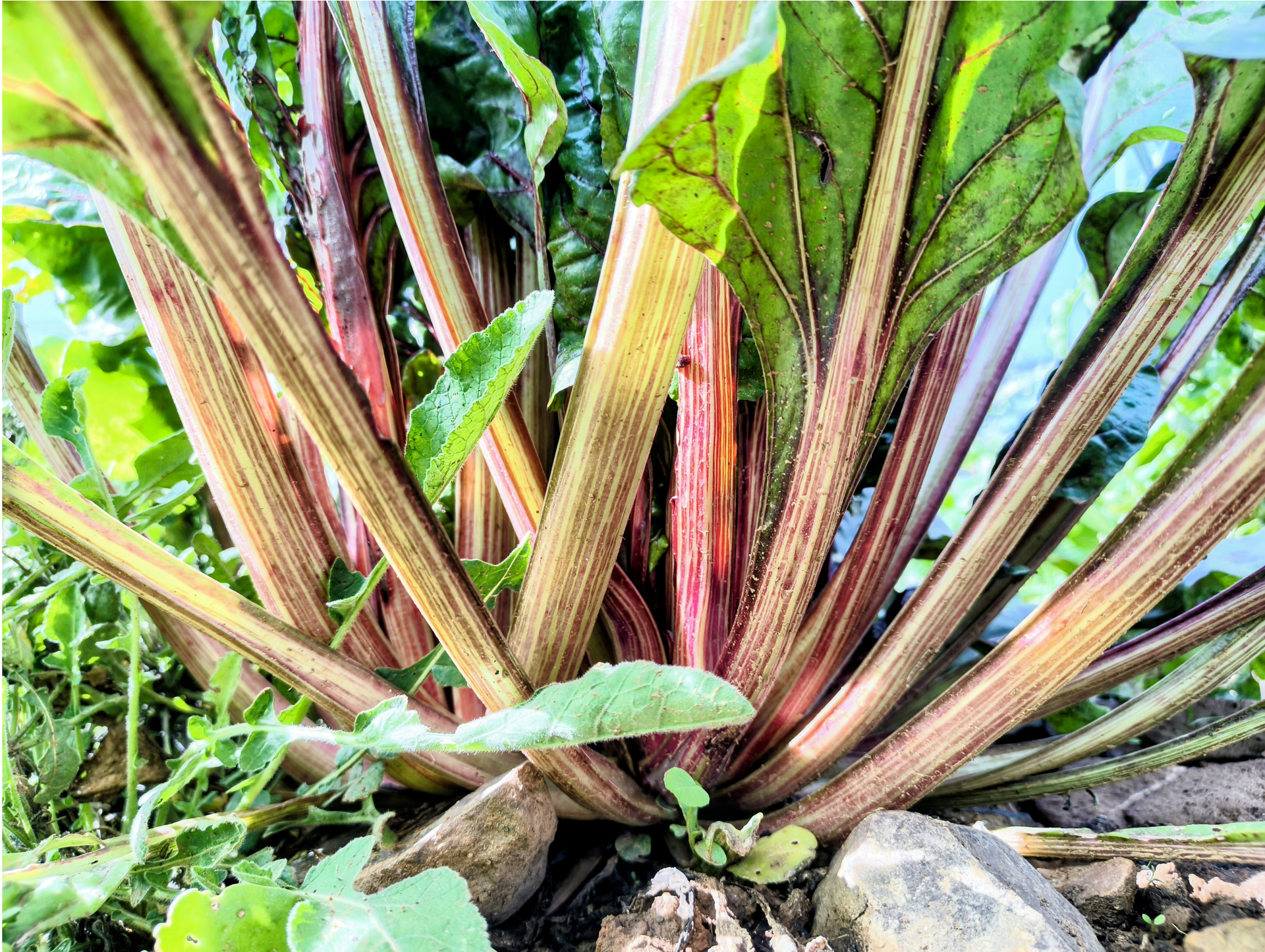 slider image 1621243260e1af0c20-2