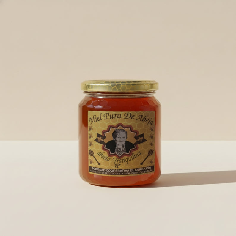Miel Pura (500 g)