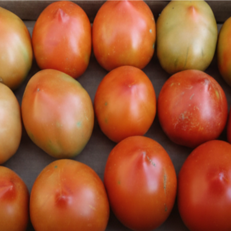 Tomate Natural (Caja 3 Kg)